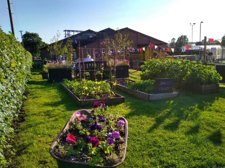 Outdoor community garden with colourful flowers and vegetable plots at Cookley Village Hall.